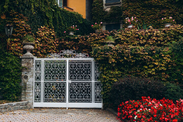 Iron front gate of a luxury home. Ornate metal gate in the countryside, A nice entrance of a house.