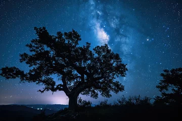 Fototapeten Enchanting night sky photography with stars and the Milky Way © Lucija