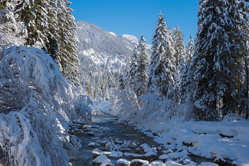 winter wonderland Weissach river with fresh fallen snow covered trees