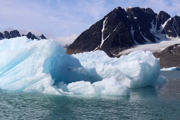 Foto op Plexiglas Paysage de l arctique © helenedevun