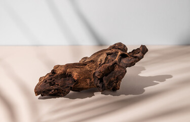 A piece of natural wood with a complex texture on a beige background with shadow. Layout concept for presentation of promotional items, sale or display of cosmetics or other products. Front view