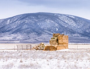 Stacked bales of hay under threatening winter sky in front of Ute Mountain, Colorado