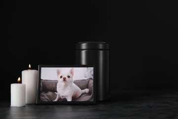 Frame with picture of dog, mortuary urn and burning candles on dark background. Pet funeral