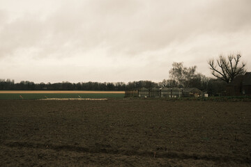 Rural landscape with a field and greenhouses against a cloudy sky in Meerbusch, Germany