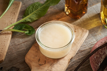 Homemade comfrey ointment made of knitbone root and rendered pork lard