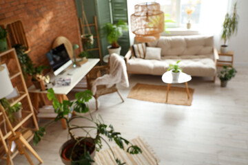 Blurred view of office with workplace, green plants and sofa