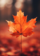 Naklejka na ściany i meble Autumn leaf, maple falling, Generative AI
