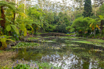 Scenic views of Tamborine Mountain Regional Botanic Gardens