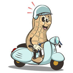 vector vintage illustration of cute peanut mascot character wearing a helmet riding a scooter