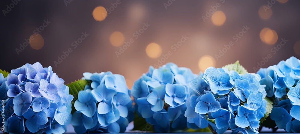Poster blue hydrangea with magical bokeh background and copy space on the right side for text placement