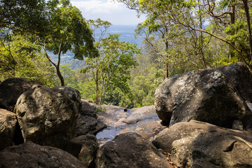 Scenic views of Cameron falls in Tamborine National Park in Queensland, Australia