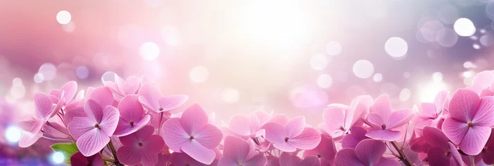 Deurstickers Pink hydrangea on right side with enchanting bokeh background and text space on left for placement © Ilja