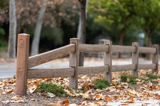 autumn in the park