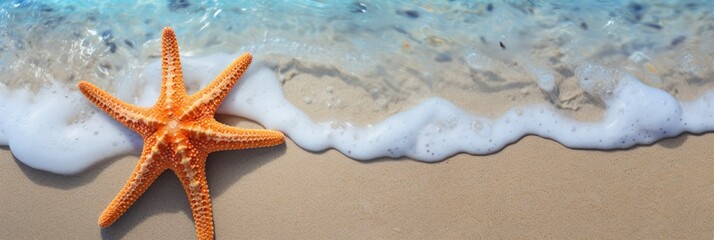 Fototapeta na wymiar starfish on the beach Starfish on summer sunny beach at ocean background. Travel, vacation concepts