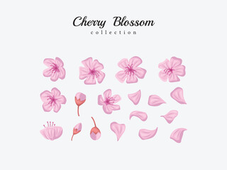 Obraz premium cherry blossom element vector pattern white day easter flower Asian japanese