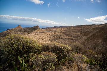 la gomera, landscapes of la gomera, palm trees on the slopes of la gomera,