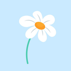 vector hand drawn flower on white background