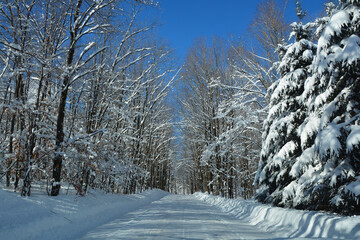 Winter landscape Bromont Shefford Quebec Canada