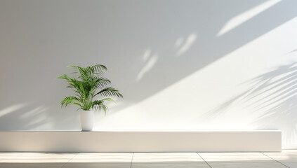 Generative AI image of outdoor room with palm plants against the shady wall 
