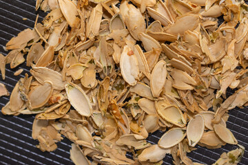 roasted pumpkin seeds in a pile
