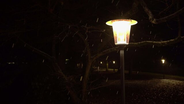 lantern in the park on a frosty dark night, falling snow