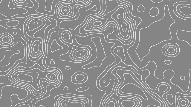 4K Topographic animation scheme and terrain. Topography grid map. Stylized topographic contour map Animation. Abstract lines or wavy background Animated Contour map background .