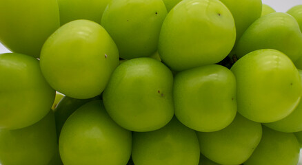 Cluster of ripe shine muscat large green korean grapes