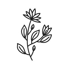 Vector botanical leaf doodle wildflower line art