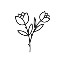 Vector botanical leaf doodle wildflower line art
