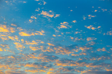 Fototapeta na wymiar Cloudscape, Colored Clouds at Sunset near the Ocean in a Blue Sky