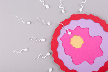 Fertilization concept. Sperm cells swimming towards egg cell on gray background, top view