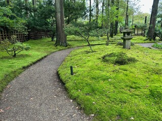 Bright moss, different plants, stone lantern and pathway in Japanese garden
