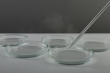 Pipette over petri dish on light table against grey background