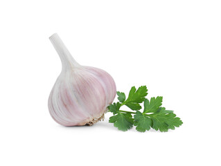 Fresh garlic bulb and parsley isolated on white
