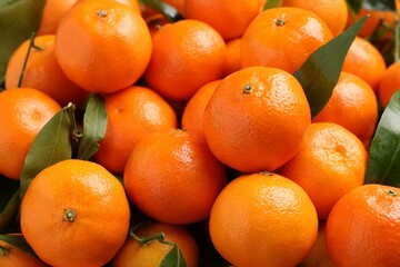 Delicious tangerines with leaves as background, closeup