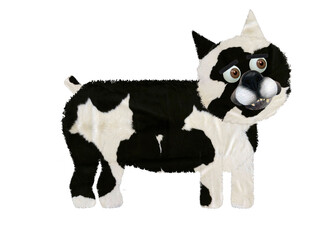 dog French bulldog character