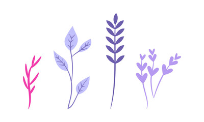 Vector hand drawn spring flower collection