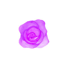 Vector hand drawn purple rose isolated on white