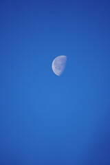 moon in the sky