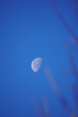 moon on blue sky