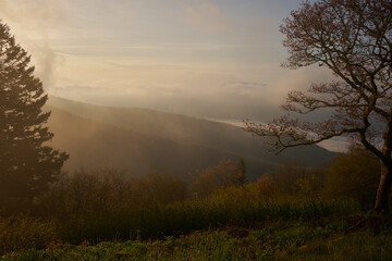 High in the Blue Ridge Mountains at sunrise and the fog clears.