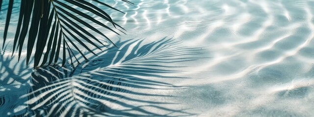palm leaf shadow on abstract white sand beach background, sun lights at water surface, beautiful...