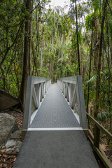 Walking platforms at the Tamborine Rainforest Skywalk in Queensland, Australia