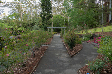 Scenic views of Tamborine Mountain Regional Botanic Gardens