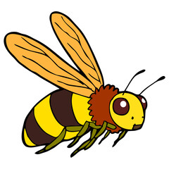 bee vector illustration