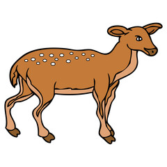 deer vector illustration