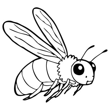 bee line vector illustration