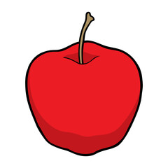 apple vector illustration