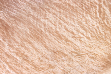 Leather drum brown texture vintage traditional background