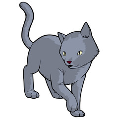 cat vector illustration